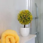 & Olimp شقة